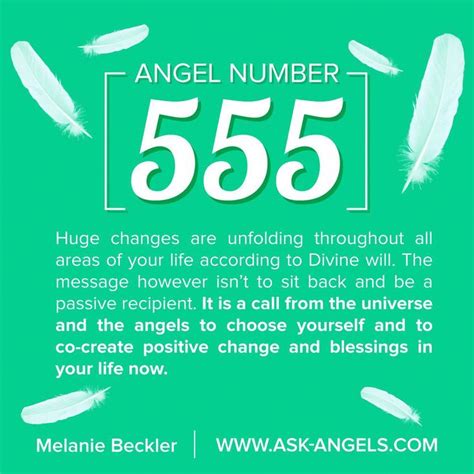 222 and 555 Angel Number Meaning (Fully Explained).